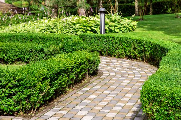 Cost of Paved Landscaping in Pasadena